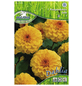 PEGASUS Blumenzwiebel Dahlie, Dahlia Hybrida, Blütenfarbe: gelb-Thumbnail