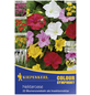 KIEPENKERL Blumenzwiebel Mischung, Mischung Mischung, Blütenfarbe: mehrfarbig-Thumbnail