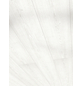 PARADOR Dekorpaneele »Rapido«, pinie weiß, Holzwerkstoff, Stärke: 12 mm-Thumbnail