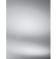 PARADOR Dekorpaneele »Rapido«, weiß seidenmatt, Holzwerkstoff, Stärke: 12 mm-Thumbnail