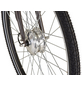 DIDI THURAU E-Bike »Alu City Comfort 3«, 28", 3-Gang, 6.6 Ah-Thumbnail