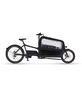 PROPHETE E-Bike »Cargo Plus«, E-Lastenrad, 8-Gang, 26″, RH: 48 cm, 630 W, 36 V, max. Reichweite: 120 km-Thumbnail