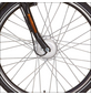 DIDI THURAU E-Bike, Citybike, 3-Gang, 26″, RH: 46 cm, 374 W, 36 V, max. Reichweite: 60 km-Thumbnail