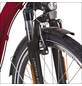 DIDI THURAU E-Bike, Citybike, 3-Gang, 26″, RH: 46 cm, 461 W, 36 V, max. Reichweite: 100 km-Thumbnail