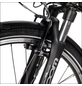 Saxonette E-Bike, Citybike, 7-Gang, 28″, RH: 45 cm, 468 W, 36 V, max. Reichweite: 130 km-Thumbnail