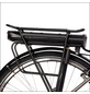 Saxonette E-Bike, Citybike, 7-Gang, 28″, RH: 50 cm, 468 W, 36 V, max. Reichweite: 130 km-Thumbnail