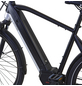 PROPHETE E-Bike, E-SU V, 10-Gang, 28″, RH: 55 cm, 630 W, 36 V, max. Reichweite: 200 km-Thumbnail