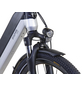 PROPHETE E-Bike, E-SU V, 10-Gang, 28″, RH: 55 cm, 630 W, 36 V, max. Reichweite: 200 km-Thumbnail