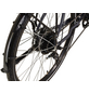 PROPHETE E-Bike »Entdecker 20.EST.10«, 28", 8-Gang, 10.4 Ah, Trapez-Thumbnail