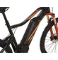 PROPHETE E-Bike »Graveler 20.ETM.30«, 27,5", 10-Gang, 12.8 Ah-Thumbnail