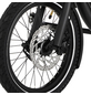 FISCHER FAHRRAD E-Bike Lastenrad »LEO 1.0«, 20", 9-Gang, 14.5 Ah-Thumbnail