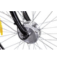 MAXTRON E-Bike »MC-14«, E-Citybike, 3-Gang, 28″, RH: 50 cm, 360 W, 36 V, max. Reichweite: 100 km-Thumbnail