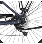 FISCHER FAHRRAD E-Bike Trekking »ETD 1820«, 28", 9-Gang, 11.6 Ah, Trapez-Thumbnail