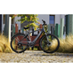 FISCHER FAHRRAD E-Bike »VIATOR 5.0i «, Kettenschaltung-Thumbnail