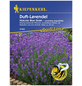 KIEPENKERL Lavendel, Lavandula angustifolia, Samen, Blüte: helllila-Thumbnail