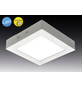 NÄVE LED-Aufbaupanel »Dimplex«, dimmbar, inkl. Leuchtmittel in warmweiß-Thumbnail