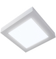 NÄVE LED-Wand-/Deckenleuchte »Simplex«, inkl. Leuchtmittel in neutralweiß-Thumbnail
