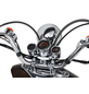 ALPHA MOTORS Motorroller »Firenze «, 125 cm³, 85 km/h, Euro 5-Thumbnail