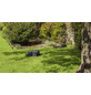 BOSCH HOME & GARDEN Rasenmähroboter »Indego M+ 700«, 18 V, für ca. 700 m², Schnittbreite: 19 cm-Thumbnail