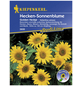 KIEPENKERL Sonnenblume, Helianthus annuus, Samen, Blüte: gelb-Thumbnail