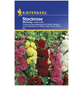 KIEPENKERL Stockrose, Alcea rosea, Samen, Blüte: mehrfarbig-Thumbnail