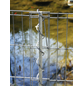 BELLISSA Teichschutzzaun, HxL: 80 x 710 cm, Stahl, silberfarben-Thumbnail