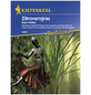 KIEPENKERL Zitronengras citratus Cymbopogon-Thumbnail