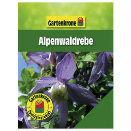 Gartenkrone Alpenwaldrebe, Clematis alpina, Blüte: hellblau