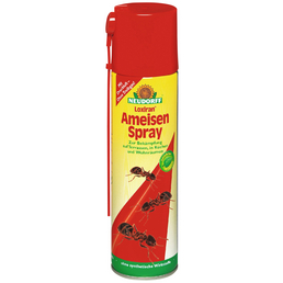 Loxiran Ameisenmittel »Loxiran Ameisenspray«, Spray, 400 ml