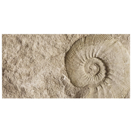 mySPOTTI Badrückwand »Fossil«, BxH:90 cm x 45 cm, beige