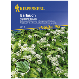 KIEPENKERL Bärlauch ursinum Allium