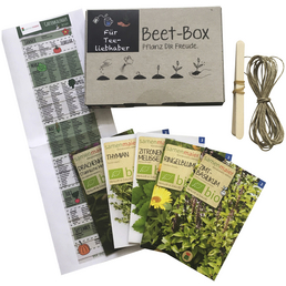 SAMEN MAIER Beet-Box "Für Tee-Liebhaber", Samen, Blüte: mehrfarbig