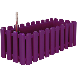 CASAYA Bewässerungskasten »Aqua Palido«, Polypropylen (PP), purpur, rechteckig