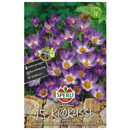 Sperli GmbH Blumenzwiebel, Crocus sieberi »Tricolor«, Blüte: mehrfarbig