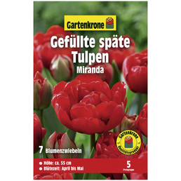 Gartenkrone Blumenzwiebeln Gefüllte Späte Tulpe, Tulipa X hybrida »Miranda«, Blütenfarbe: rot