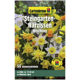 Gartenkrone Blumenzwiebeln Steingarten-Narzisse, Narcissus pseudonarcissus »Mischung«, Blüte: bunt