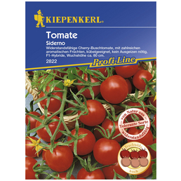 KIEPENKERL Cherry-Tomate lycopersicum Solanum »Siderno F1«