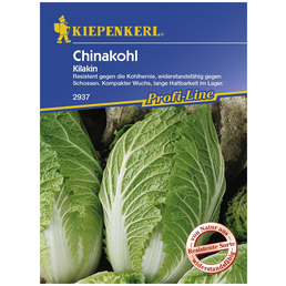 KIEPENKERL Chinakohl rapa subsp. pekinensis Brassica
