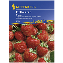 KIEPENKERL Erdbeere ananassa Fragaria »Fresca«