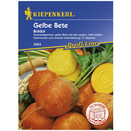 KIEPENKERL Gelbe Bete vulgaris subsp. Vulgaris Beta