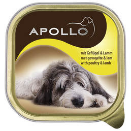 Apollo Hunde Nassfutter, 22 Schalen à 150 g
