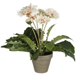 Statice Seidenblume Kunstblume Kunstpflanze 62 cm weiß creme N-12144-0 F62 