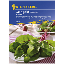 KIEPENKERL Mangold vulgaris var. vulgaris Beta