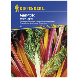 KIEPENKERL Mangold vulgaris var. vulgaris Beta