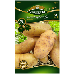 10 Stück Quedlinburger 84016 Kartoffel Gala Pflanzkartoffeln 