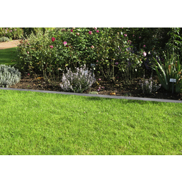 Beeteinfassungen für den Garten bei hagebau.de kaufen