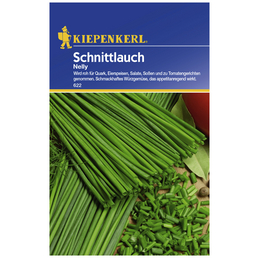 KIEPENKERL Schnittlauch schoenoprasum Allium »Nelly«