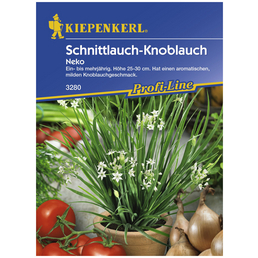 KIEPENKERL Schnittlauch tuberosum Allium »Neko«