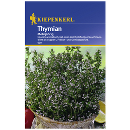 KIEPENKERL Thymian vulgaris Thymus
