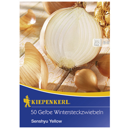 KIEPENKERL Wintersteckzwiebel cepa Allium